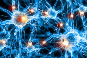 Helps-Protect-Brain-Cells-300x200